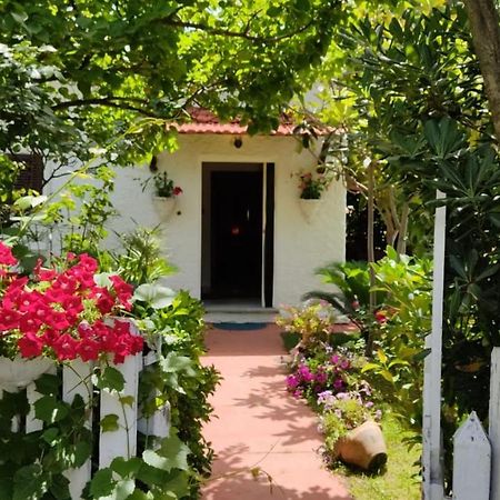 La Corte delle Rose B&B Praia a Mare Extérieur photo
