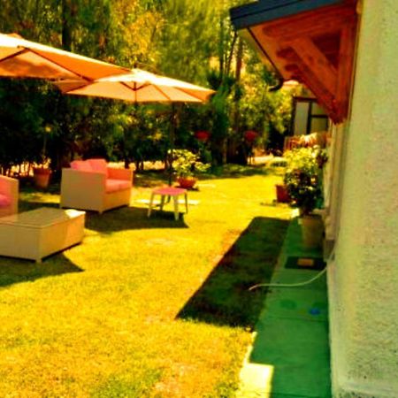 La Corte delle Rose B&B Praia a Mare Extérieur photo