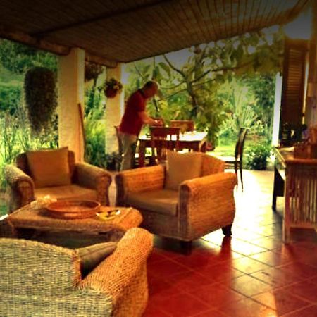 La Corte delle Rose B&B Praia a Mare Extérieur photo