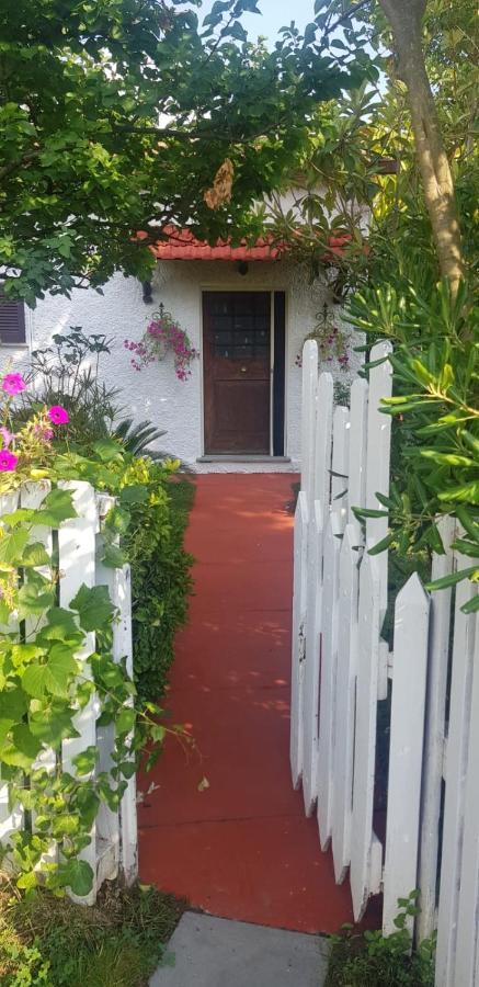 La Corte delle Rose B&B Praia a Mare Extérieur photo
