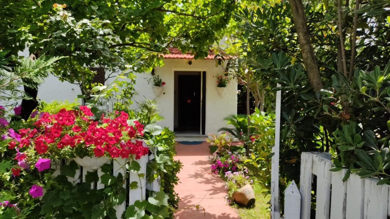 La Corte delle Rose B&B Praia a Mare Extérieur photo