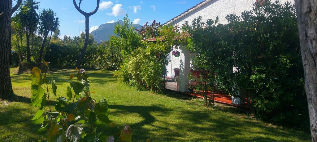 La Corte delle Rose B&B Praia a Mare Extérieur photo