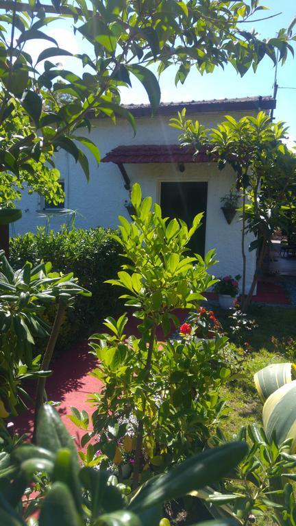 La Corte delle Rose B&B Praia a Mare Extérieur photo