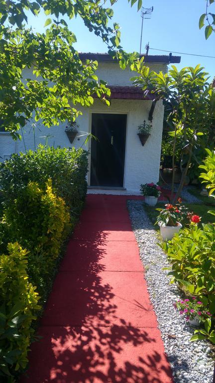 La Corte delle Rose B&B Praia a Mare Extérieur photo
