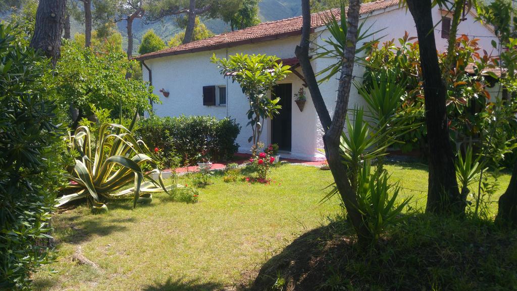 La Corte delle Rose B&B Praia a Mare Extérieur photo