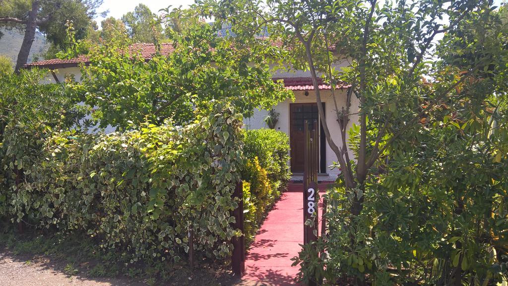 La Corte delle Rose B&B Praia a Mare Extérieur photo