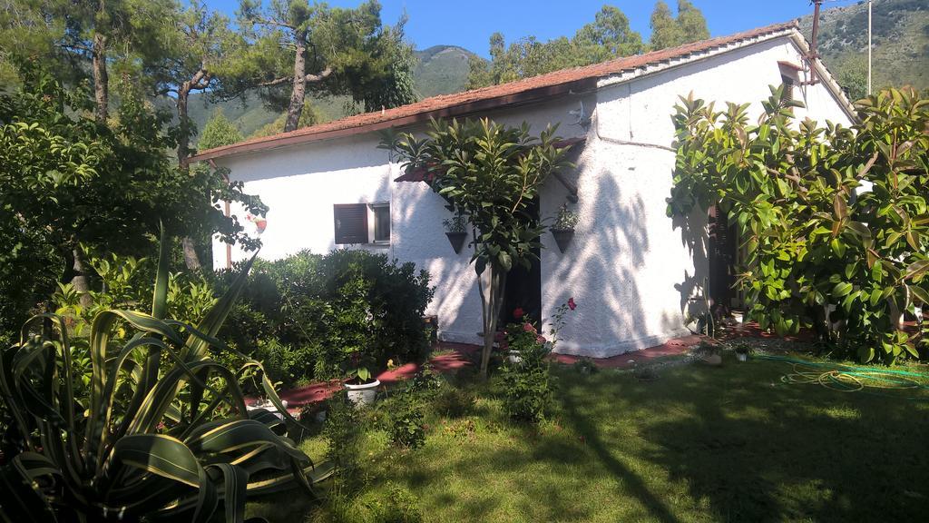 La Corte delle Rose B&B Praia a Mare Extérieur photo