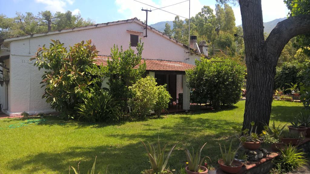 La Corte delle Rose B&B Praia a Mare Extérieur photo