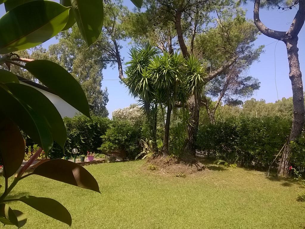 La Corte delle Rose B&B Praia a Mare Extérieur photo