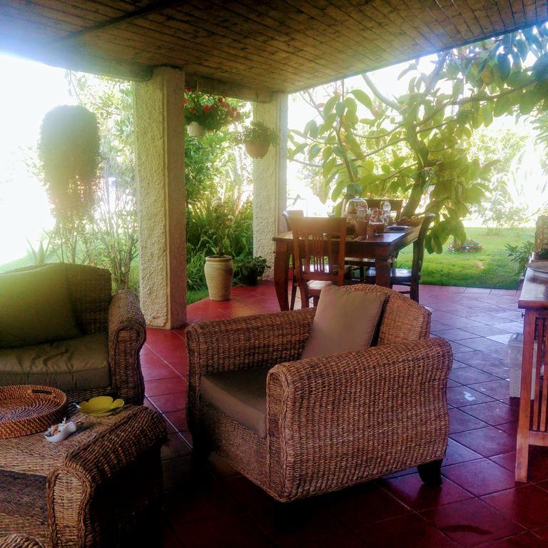 La Corte delle Rose B&B Praia a Mare Extérieur photo