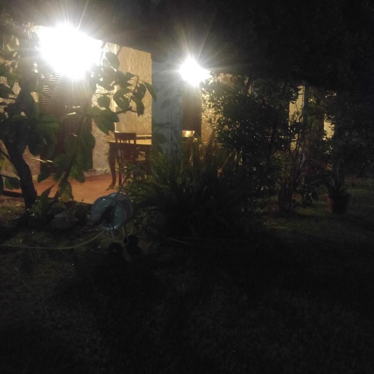 La Corte delle Rose B&B Praia a Mare Extérieur photo